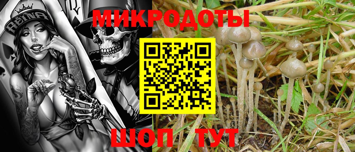 где купить   Вход с VPN  Камышин  Галлюциногенные грибы мицелий 