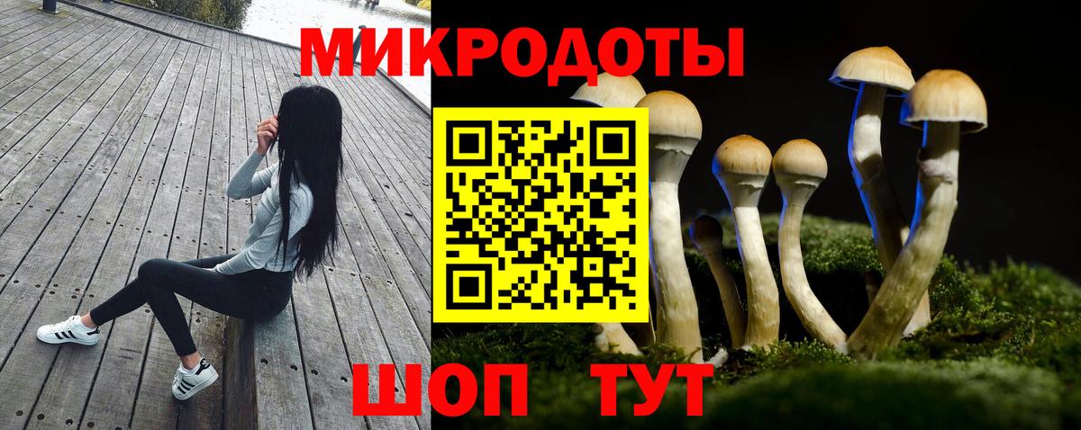 Псилоцибиновые грибы мицелий Камышин